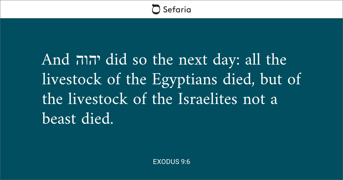 exodus 6 1 9 sermon