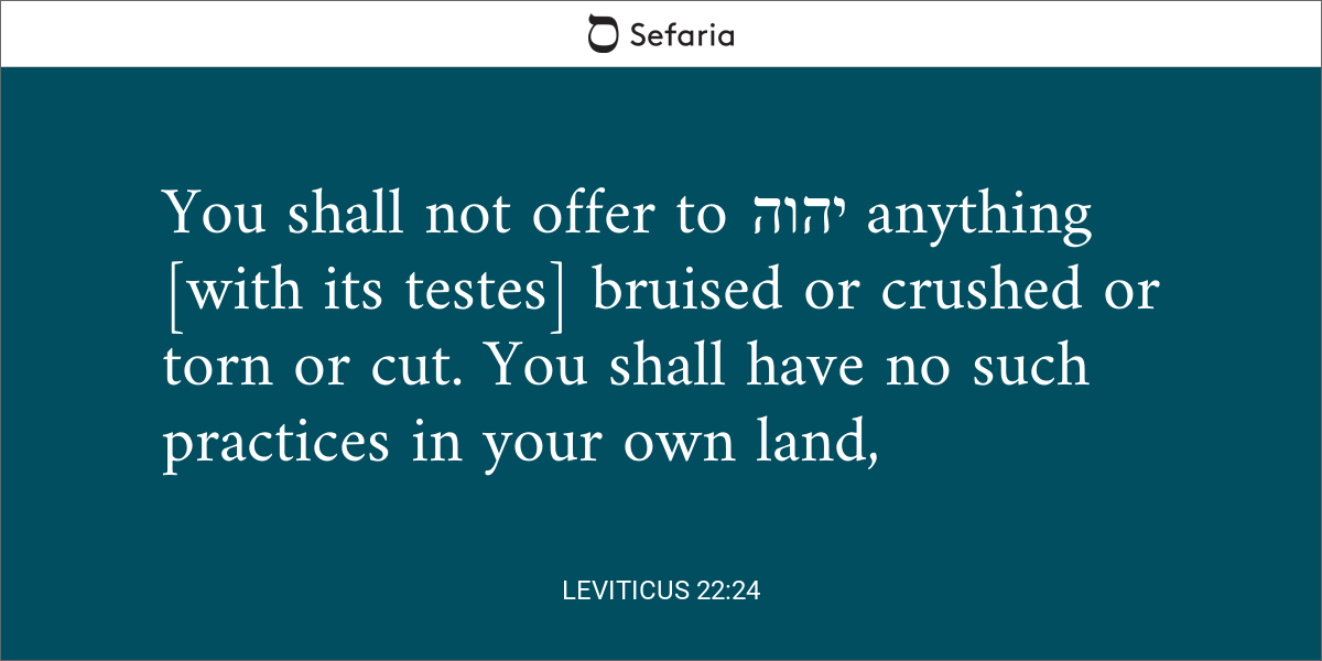 Leviticus 22:24