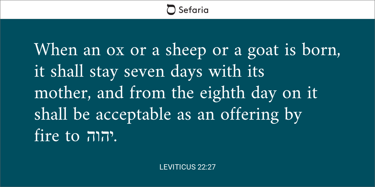 Leviticus 22:27