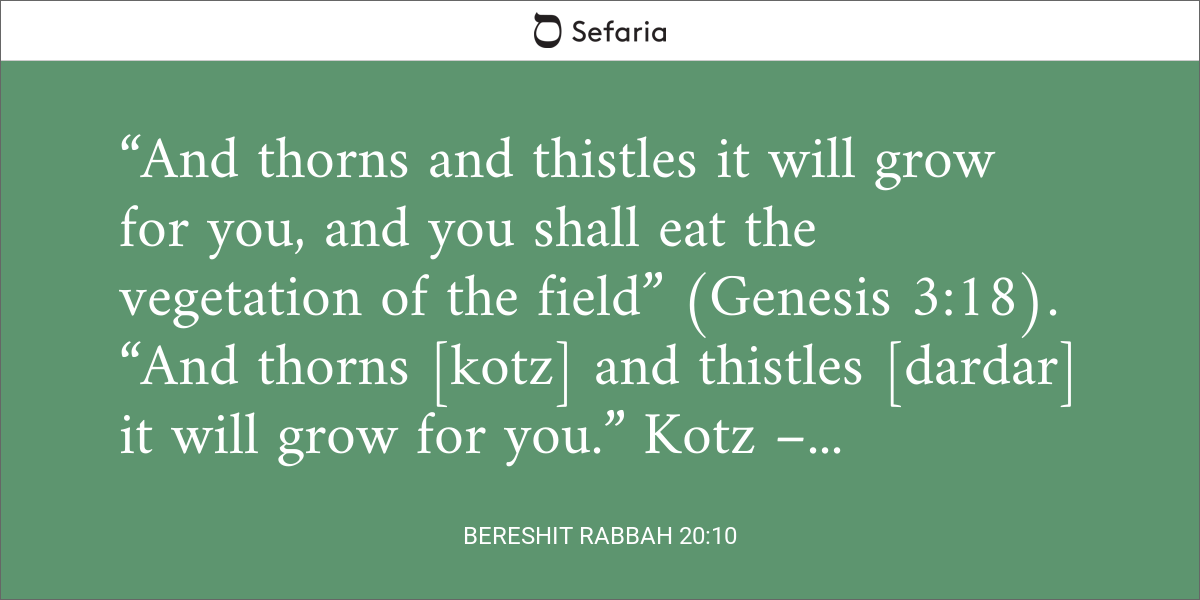 Bereshit Rabbah 20:10