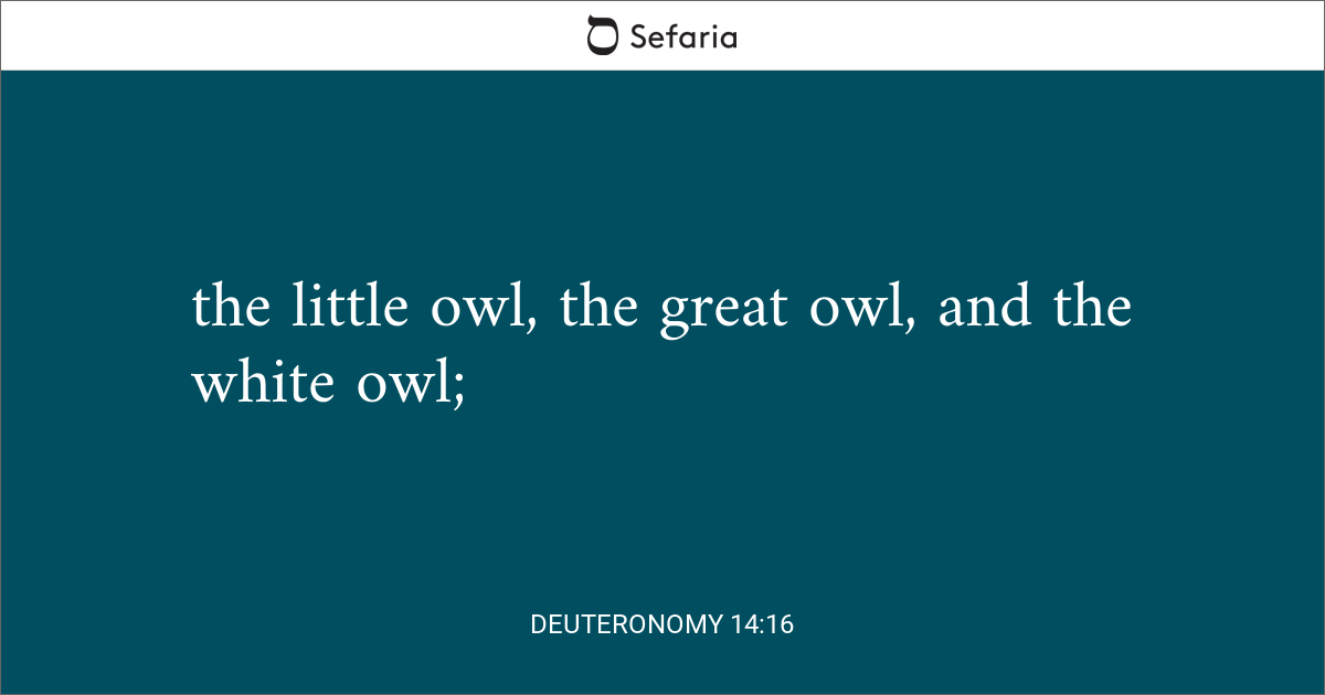 deuteronomy 6 14 15 niv