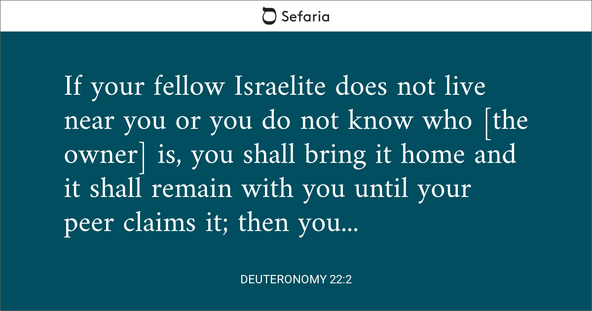 Deuteronomy 22:2