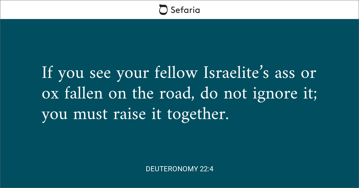 deuteronomy 14 22-23 commentary