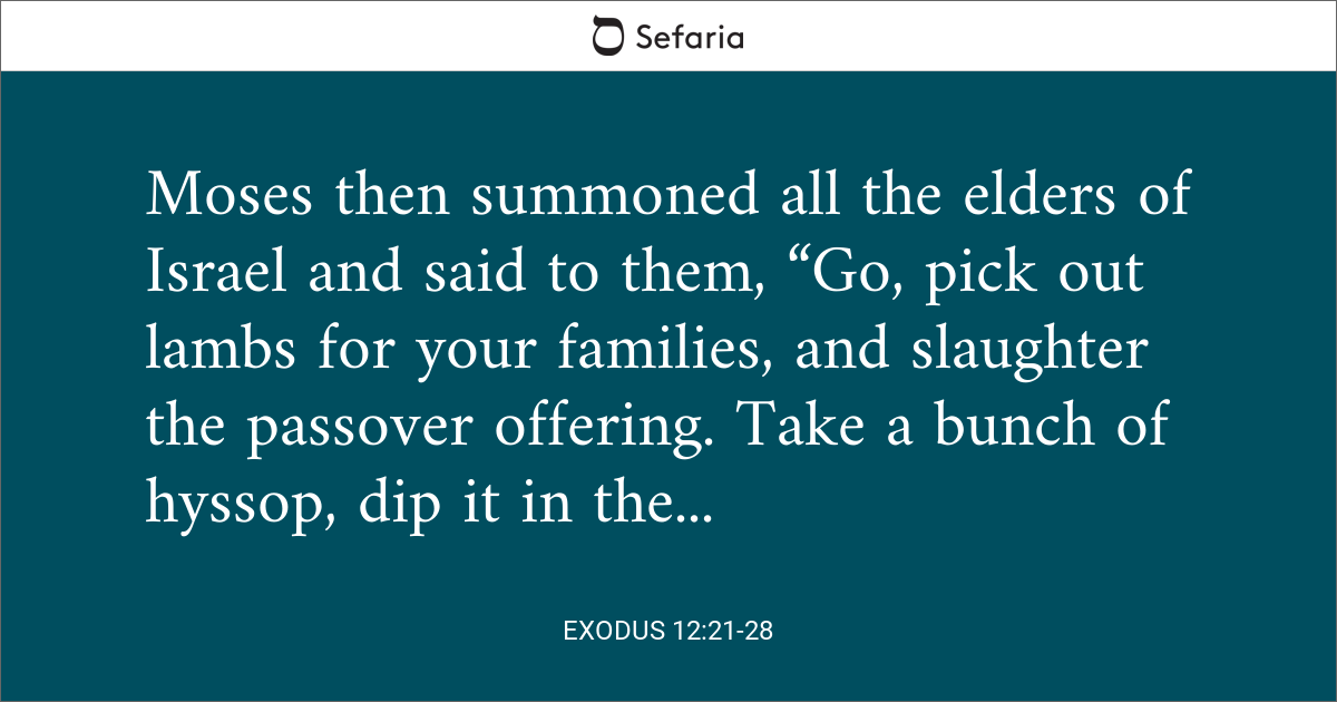 exodus 12 1 28