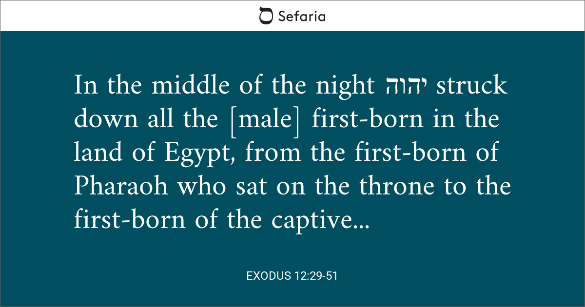 exodus 12 29 31