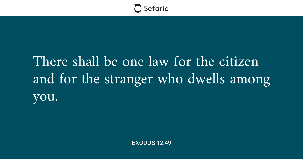 exodus 12 49