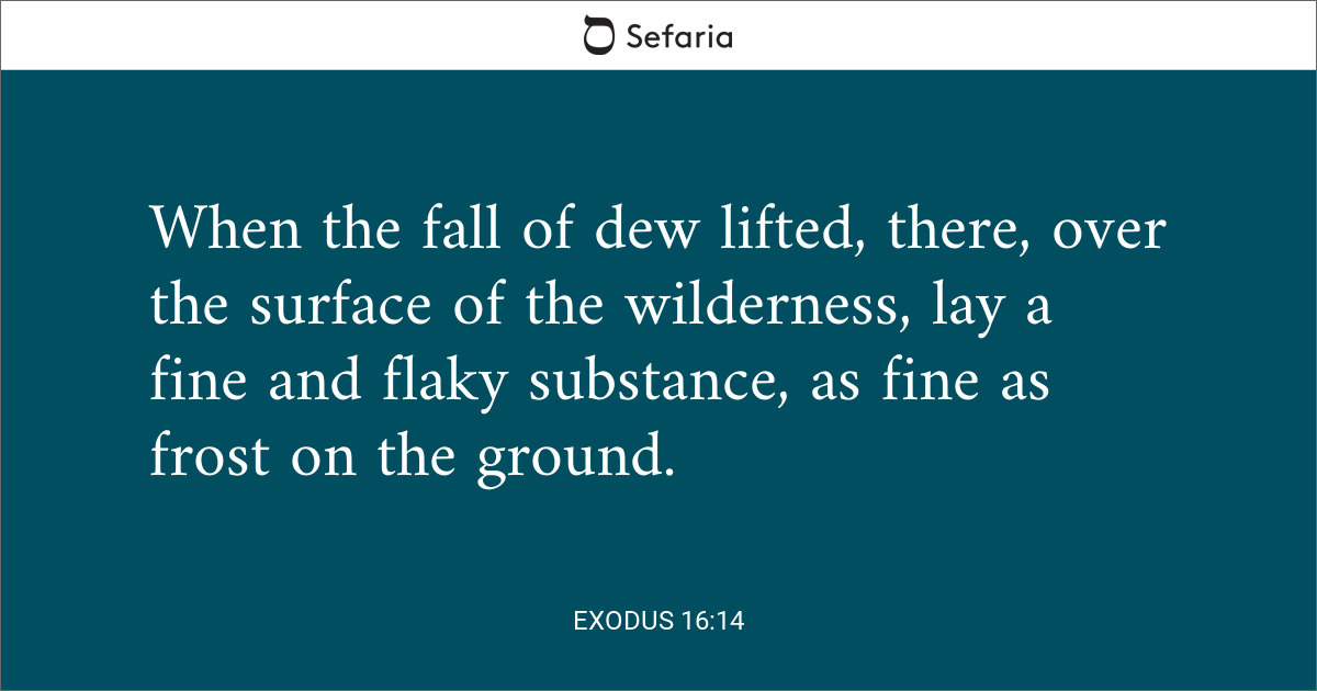 exodus 14 15 16 commentary