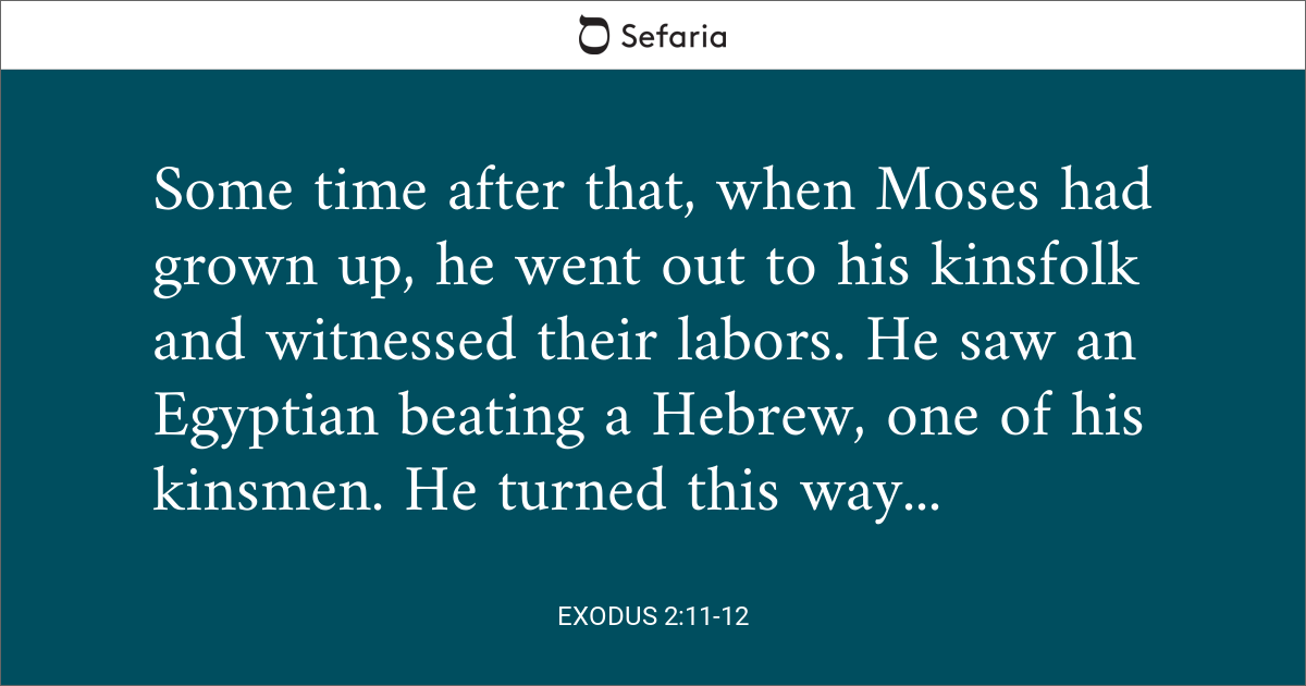 exodus 2 11 12 commentary