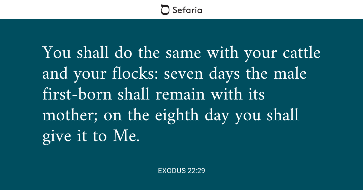 exodus-22-29