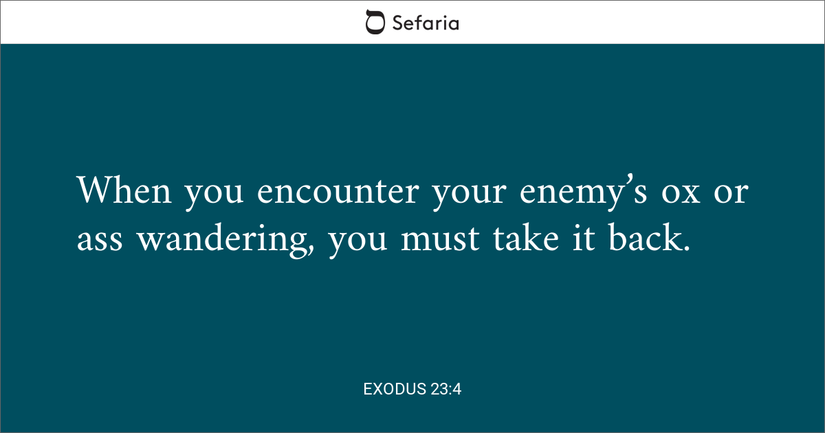 exodus-bible-story