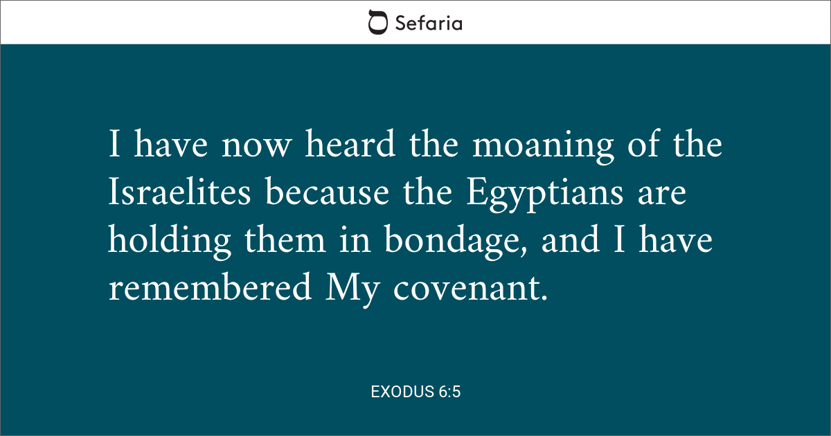 Exodus 6 5