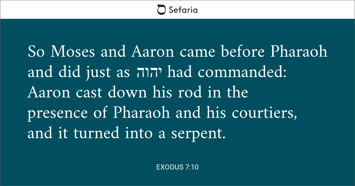 exodus 7 10 niv