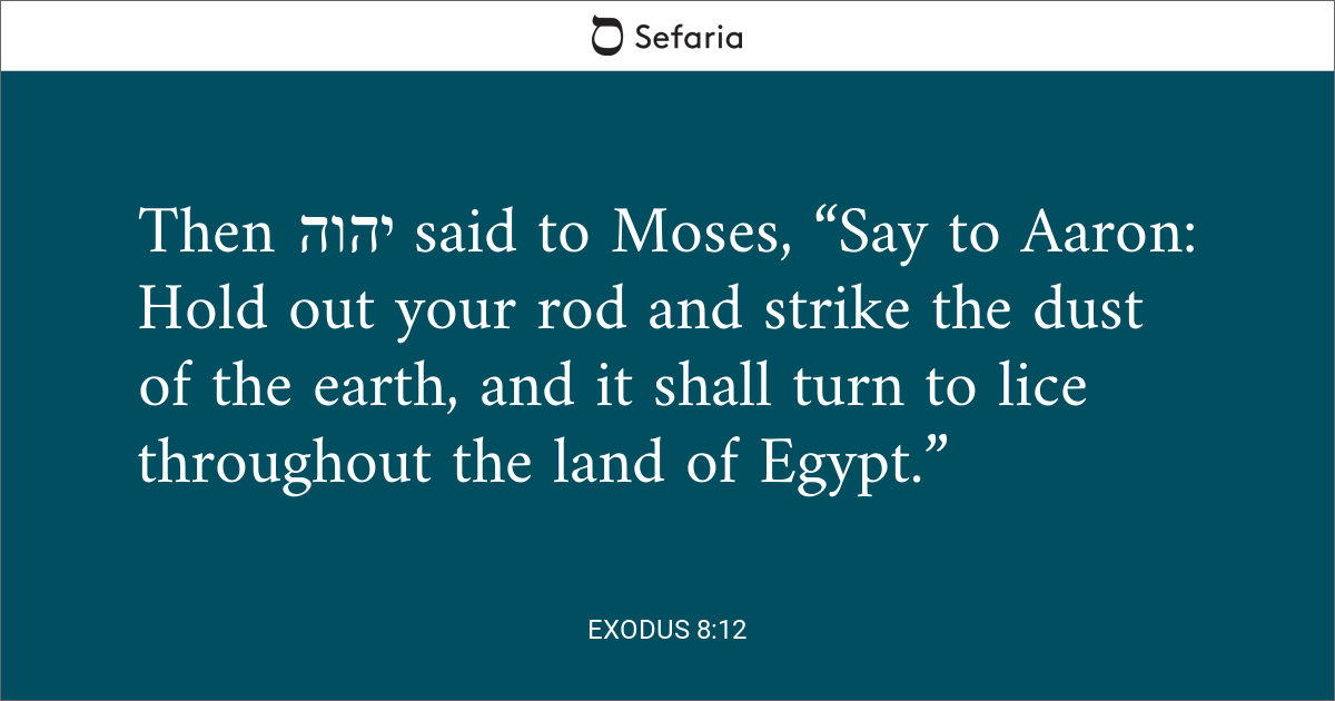 exodus 12 8 sefaria