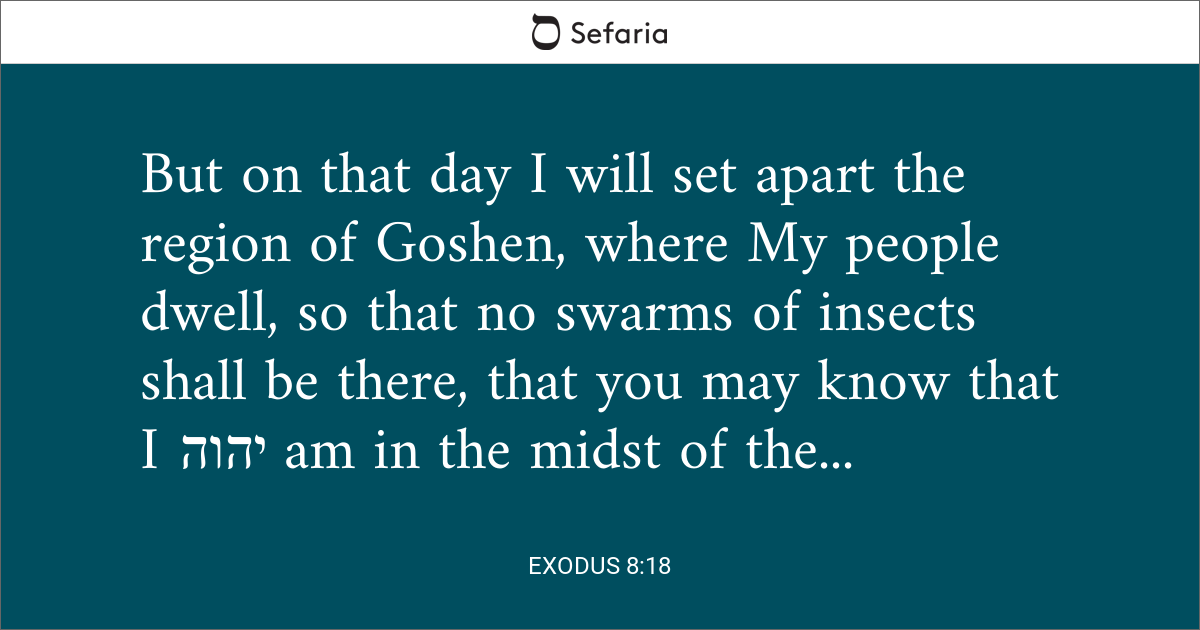 exodus 24 8 18