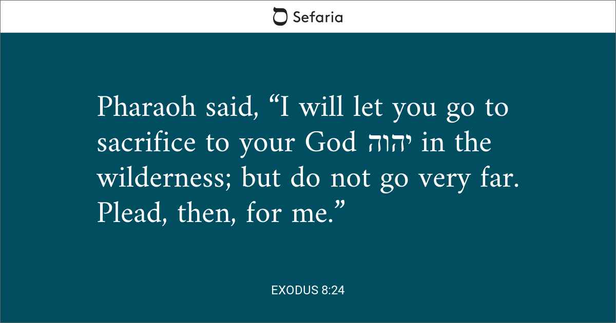 exodus 8 24