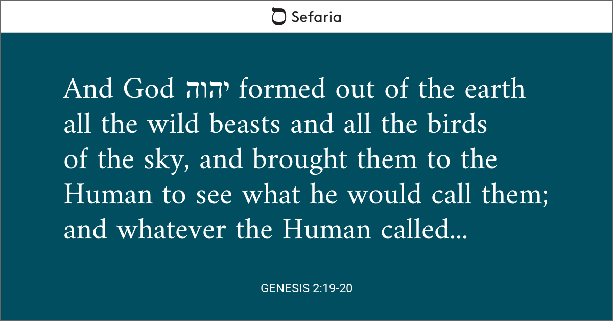 Genesis.2.19-20