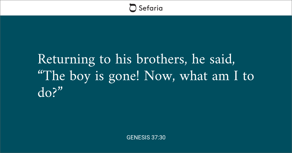 Genesis 37:30