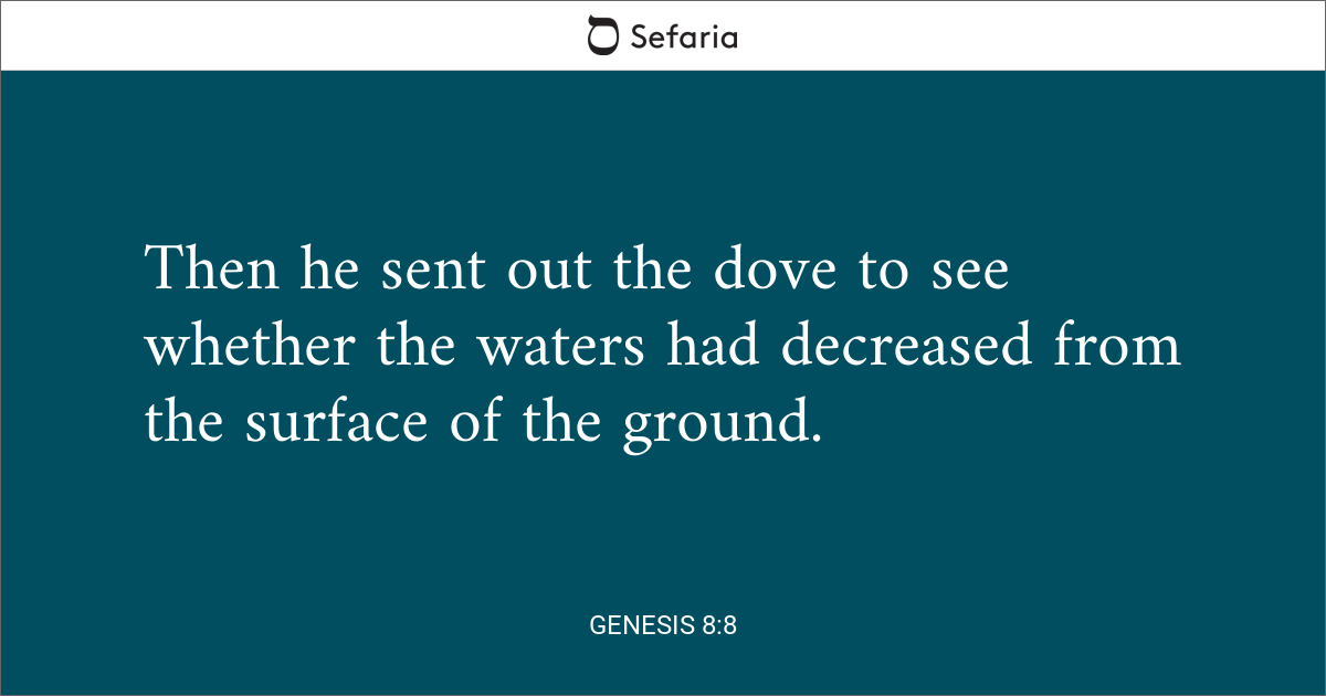 convert genesis 8.1 to 8