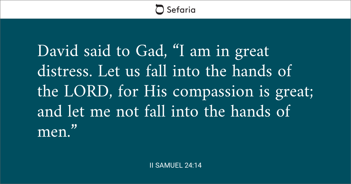 2 samuel 24 14 niv