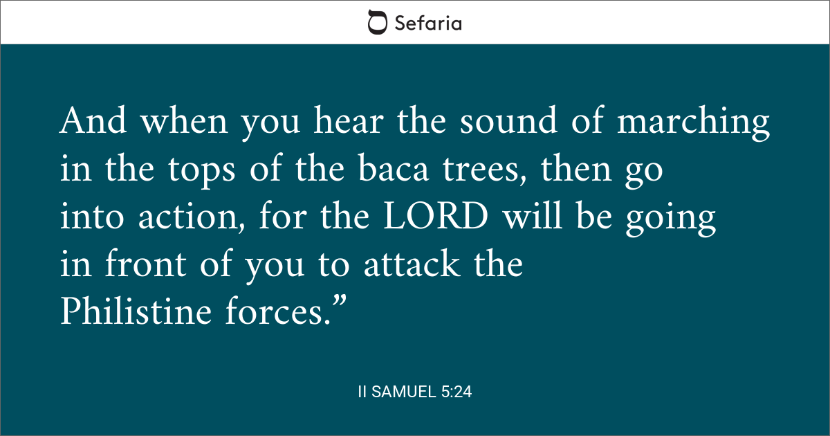 2 samuel 5 23-24