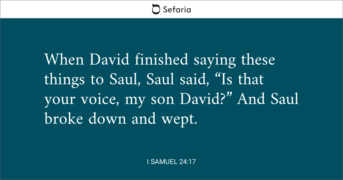 2 samuel 24 17