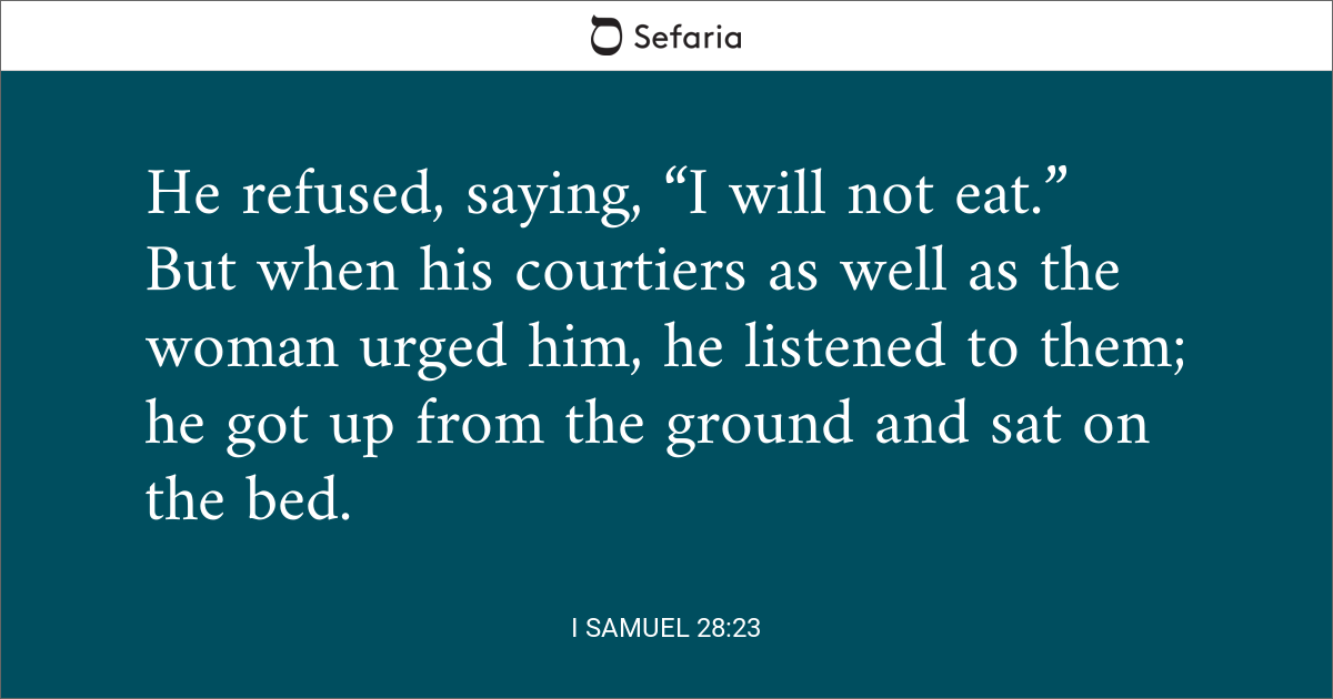 1 samuel 28 7 23