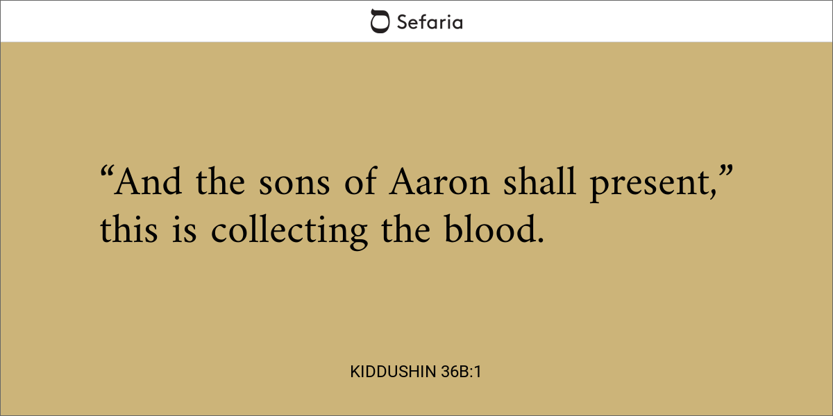 Kiddushin 36b:1