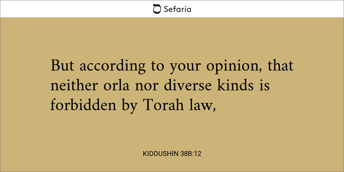 Kiddushin 38b:12