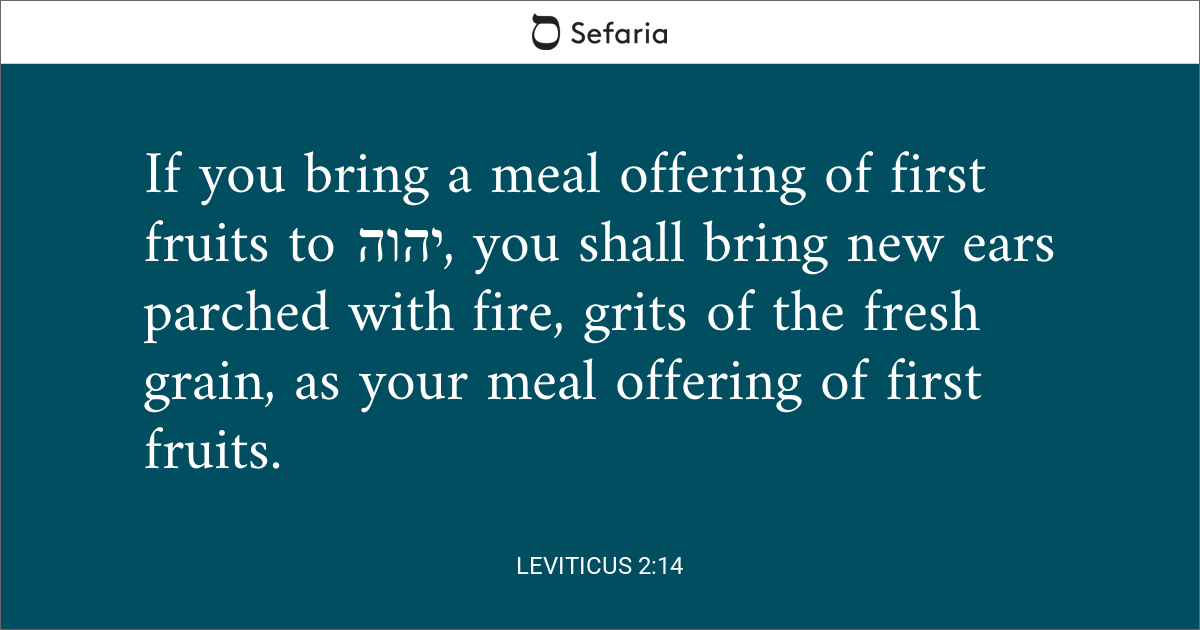 Leviticus 2:14