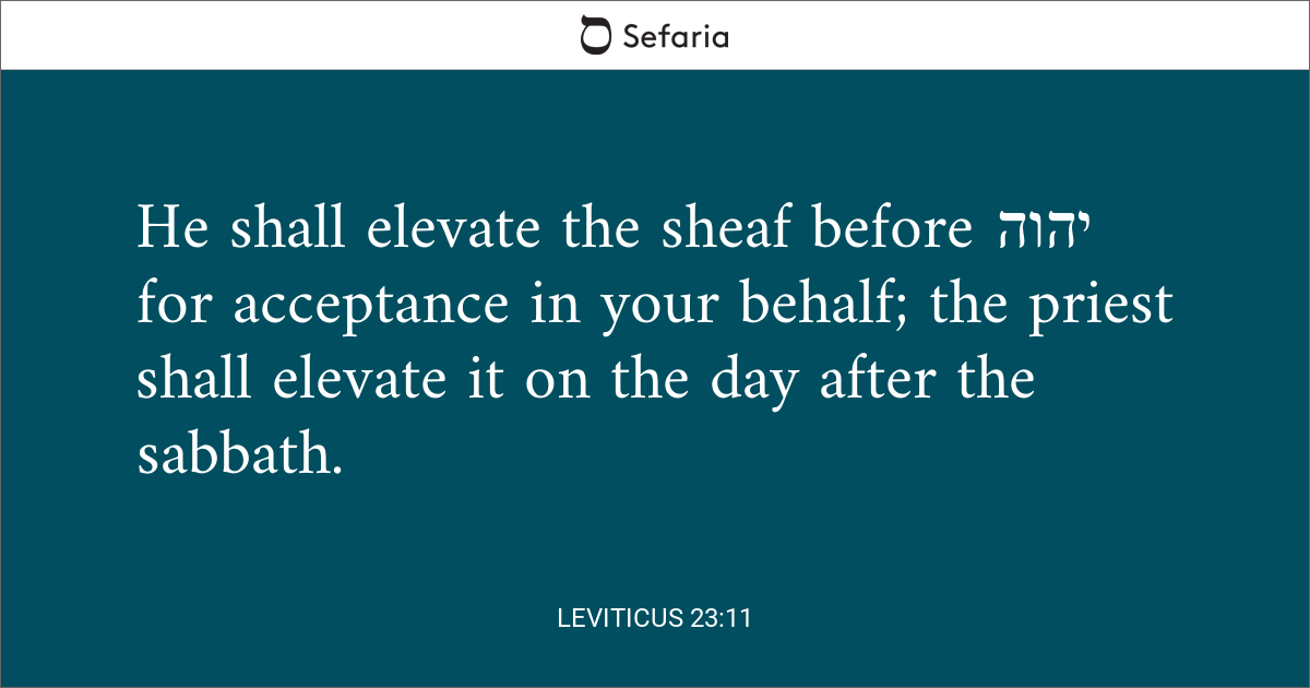 Leviticus 23:11