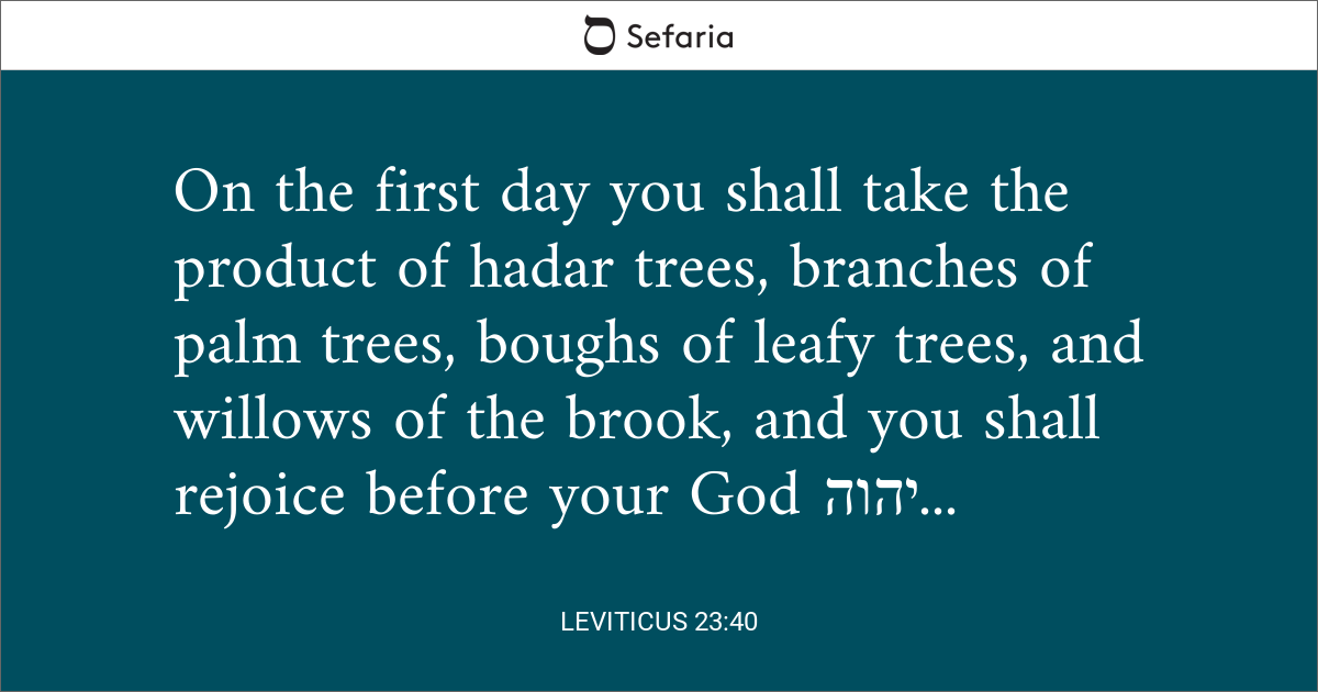 Leviticus 23:40 with Connections