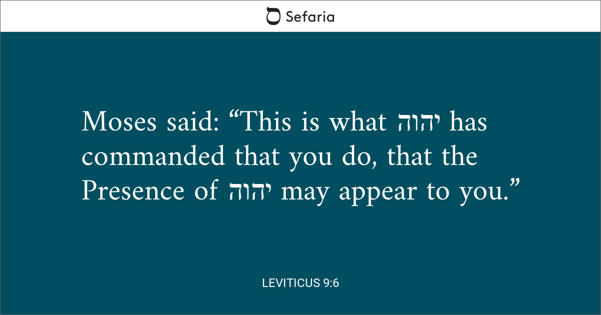 leviticus-9-6