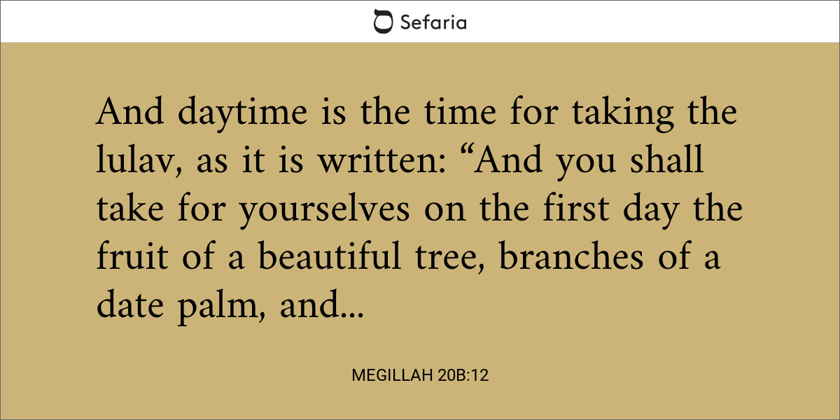 Megillah 20b:12