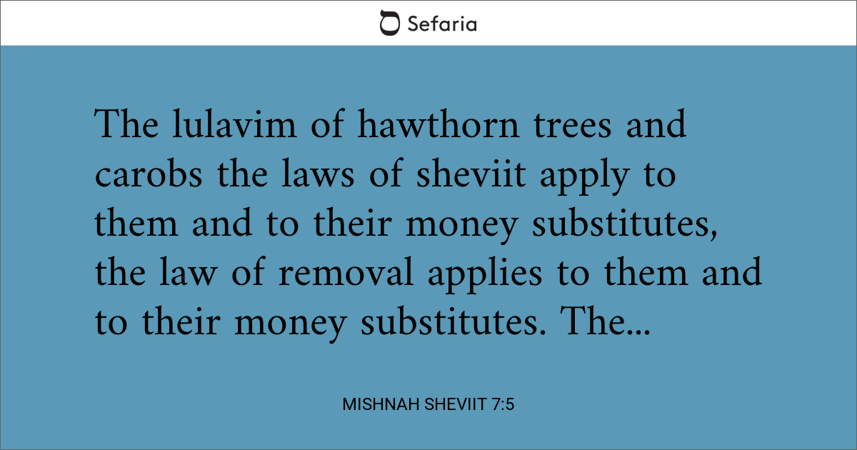 Mishnah Sheviit 7:5