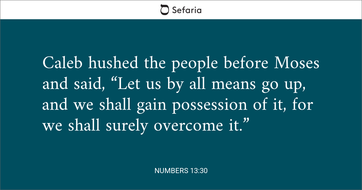 Numbers 13:30