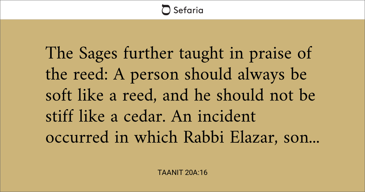 Taanit 20a:16