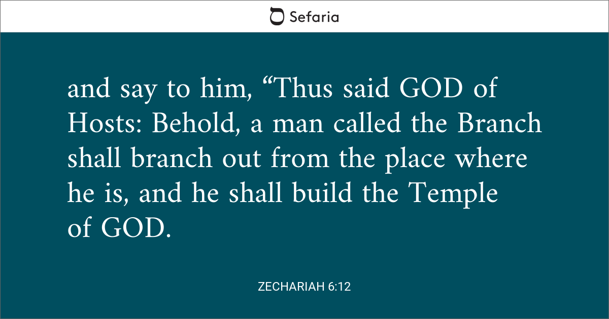 zechariah 6 12 hebrew